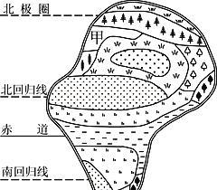 水瓶树的生长地点和适宜环境（从南美到亚洲，探寻水瓶树的生存之道）