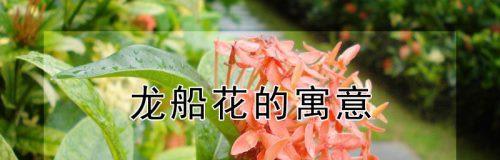 龙船花语解析（探究龙船花的寓意和象征意义）