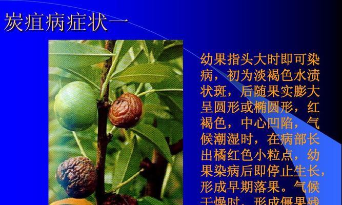 守护桃树健康，有效防治病虫害（从“四防一控”出发，以“生物防治”为主，保护果树生态环境）
