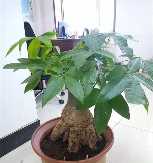 开启财富之路