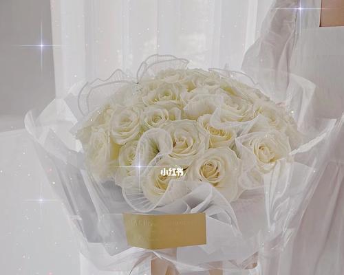 白玫瑰11朵花语的含义（解读白玫瑰11朵的秘密——白玫瑰11朵花语）

