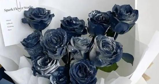 碎冰蓝玫瑰的花语与含义（探究这朵美丽花卉的神秘背后）
