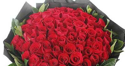 六朵玫瑰代表的意义（传递爱情、友谊和祝福的花语）
