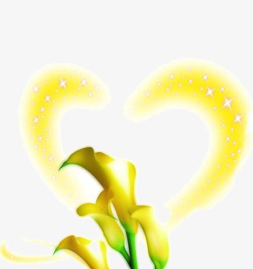 黄色马蹄莲的花语与含义（寓意深刻的“开放”之花）
