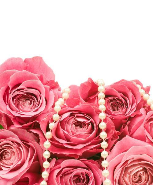 粉色玫瑰，代表爱情与浪漫（探究粉色玫瑰的花语与文化意义）
