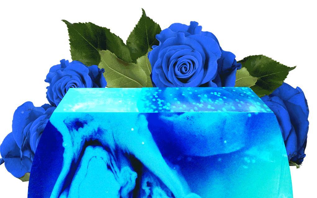 蓝色玫瑰的花语与意义（深意难诠释的蓝色花束）

