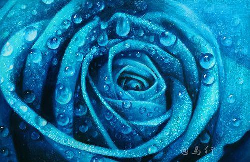 蓝色玫瑰的花语与意义（深意难诠释的蓝色花束）
