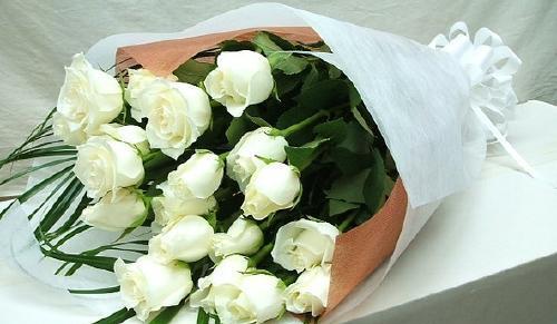 白蔷薇花语——纯洁、高贵、优雅（探寻白蔷薇的花语，品味优雅的情感表达）
