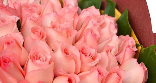 29朵玫瑰的花语（传达爱意的最佳选择）
