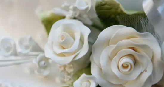混色玫瑰花语-美丽的多彩人生（深入解读混色玫瑰花语，了解不同颜色所代表的含义）
