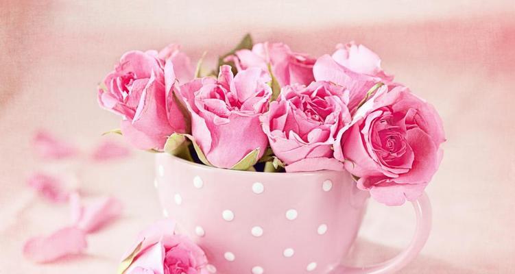 浅粉色玫瑰的花语（探究浅粉色玫瑰所代表的意义）
