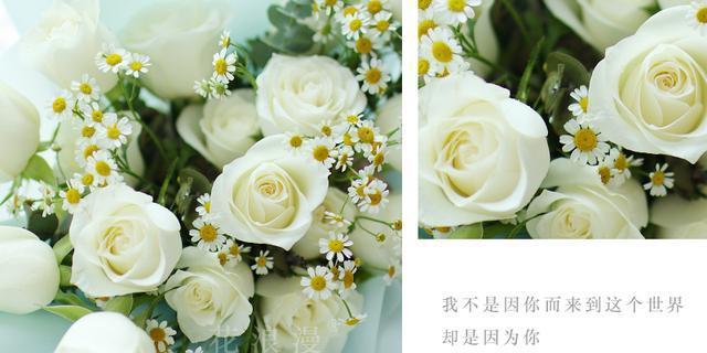 白色玫瑰花语——纯洁与真爱（探究白色玫瑰花的花语和象征意义）
