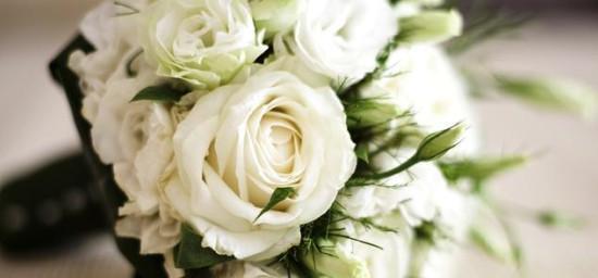 白玫瑰的含义及象征意义（探究白玫瑰的吉祥寓意与文化意义）
