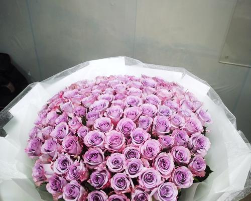 紫玫瑰的花语及其寓意（探究紫玫瑰所代表的含义与象征）
