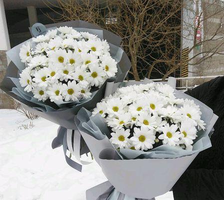 小雏菊，白色的希望（表达纯洁和爱情的鲜花，小雏菊的花语和寓意）
