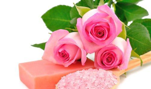 13朵粉玫瑰花代表的含义（深入探究13朵粉玫瑰所传达的情感与意义）
