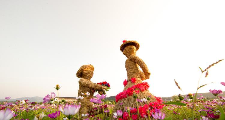 大波斯菊花语解析（传递爱情和希望的花语）
