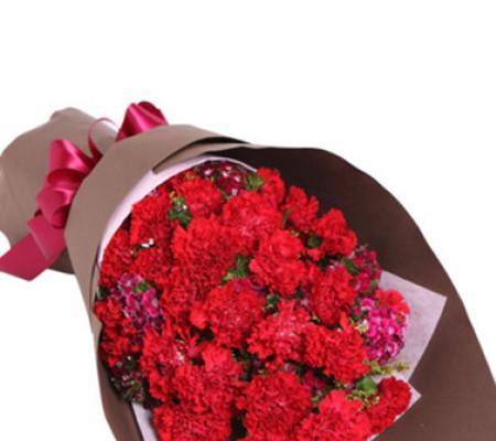 红色康乃馨的花语和寓意（表达热情和爱情的花卉——红色康乃馨）
