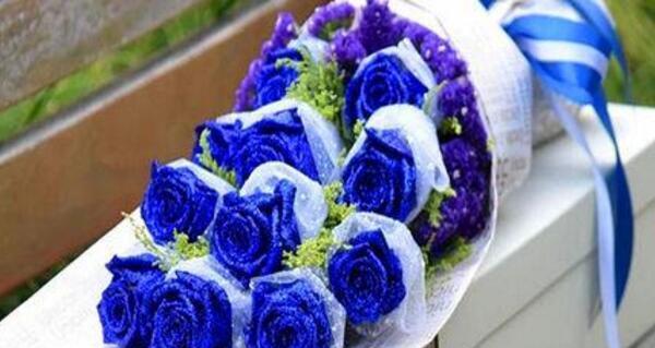 浪漫蓝色的玫瑰花语（探寻蓝色玫瑰花语的深层含义）
