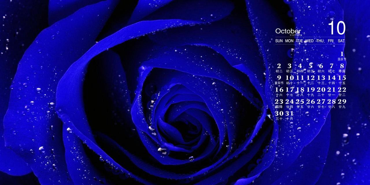 浪漫蓝色的玫瑰花语（探寻蓝色玫瑰花语的深层含义）
