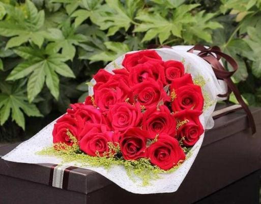 19朵红玫瑰花语的意义（传递爱情和感激之情的最佳选择）

