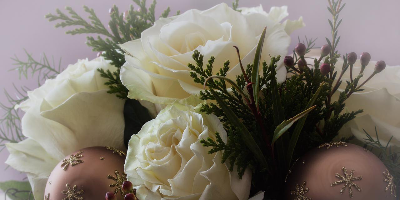 白玫瑰的花语与适合送礼对象（白玫瑰花语、送礼对象、适宜场合）
