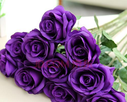 紫色玫瑰花的含义与传说（从爱情到神秘，探寻紫色玫瑰的象征意义）
