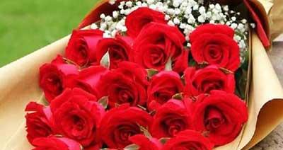 11朵玫瑰的花语（传达爱情的最佳方式）
