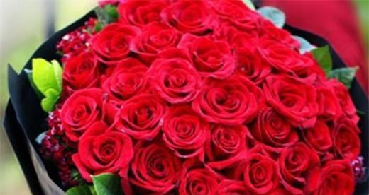 大红色玫瑰的花语含义（表达热情、爱情和敬意的花卉）
