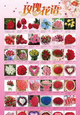 11朵粉色玫瑰的花语（表达爱意、传递情感的最佳选择）
