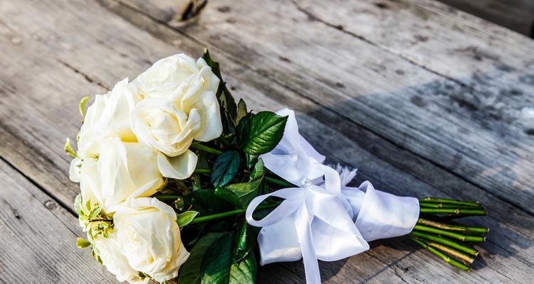 白玫瑰的花语与象征（纯洁、敬仰、祝福和爱情）
