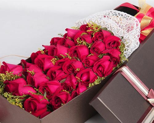 19朵玫瑰花语-爱恋永恒（表达爱意的浪漫方式）
