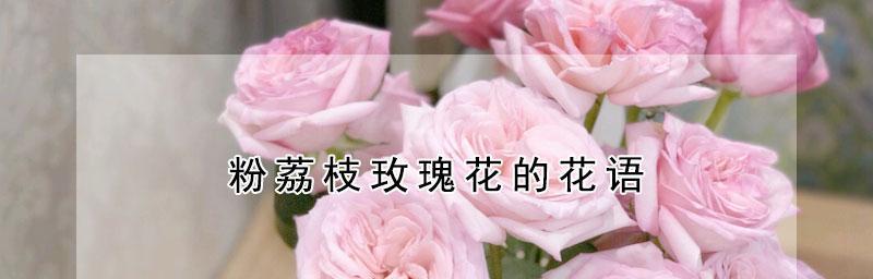 六朵玫瑰花语的含义（揭秘六种不同的花语，送出爱的暗示）