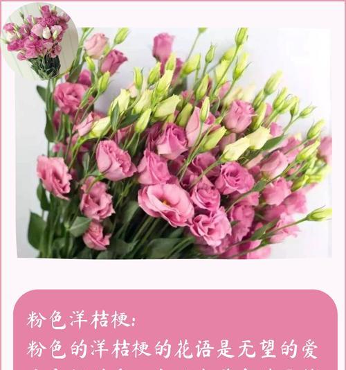 洋桔梗花的花语（了解洋桔梗花背后的含义）