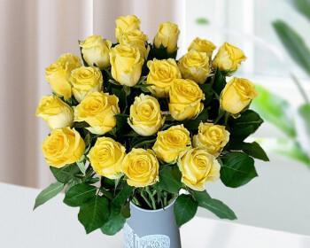 黄玫瑰花的代表意义（深入了解黄玫瑰花的花语与象征）