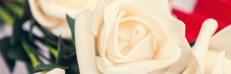 传递爱意的花语——白色玫瑰（探秘白色玫瑰背后的深刻含义）