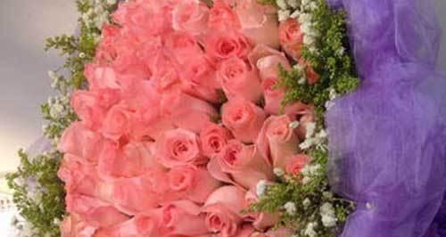 十一朵粉色玫瑰花语（探索粉色玫瑰的深层内涵与意义）