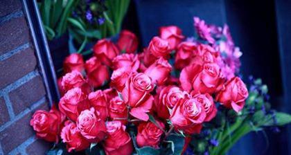 玫瑰花花语及代表意义（探寻玫瑰花的含义，解析不同颜色与数量的象征意义）