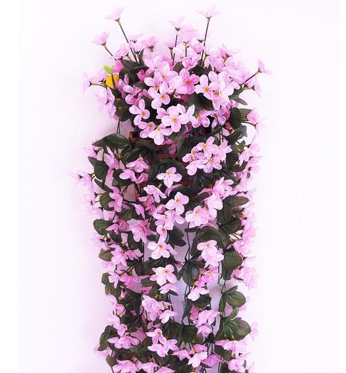 探秘粉色紫罗兰的花语（用花语解读粉色紫罗兰，传递爱与美）