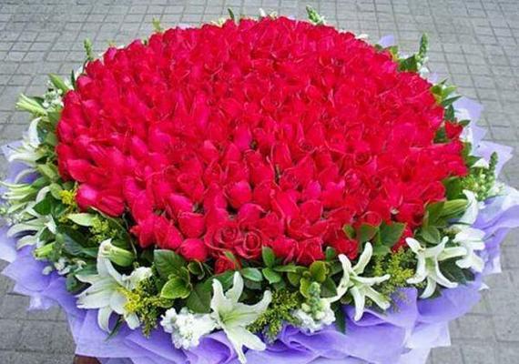 红玫瑰花的含义（解析红玫瑰花所代表的深刻意义）