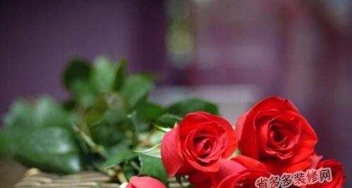 21朵玫瑰花语（传递爱意的花朵）