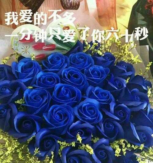 蓝色妖姬玫瑰花的花语（传递爱的感觉、表达独特的情感）