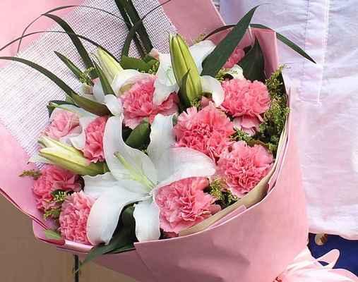 粉色康乃馨——一种温柔而优雅的花卉（传递着爱与感激的花语和寓意）