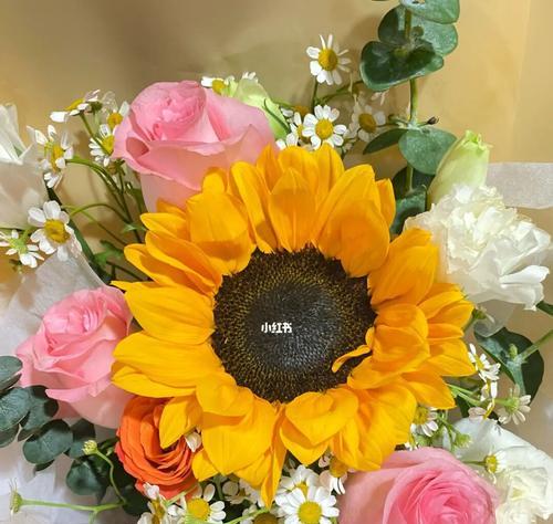向日葵的寓意与花语（展现太阳般的真诚与坚强、向太阳拥抱希望的花）