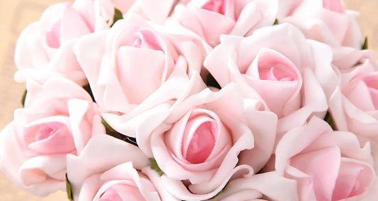 十一朵玫瑰的花语与传说（探寻爱情的真谛，从花朵开始）