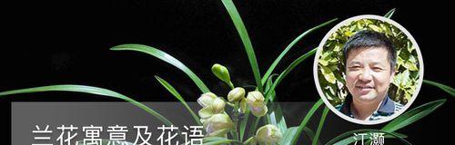 探究兰花花语的深刻含义（了解兰花的美与神韵，探寻其所代表的意义）