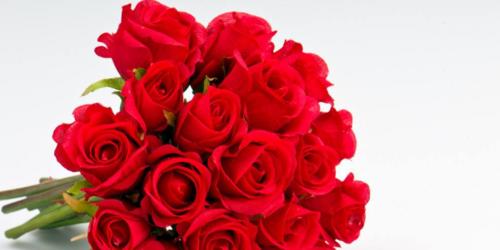 12支玫瑰代表的含义（花语，爱情和浪漫）