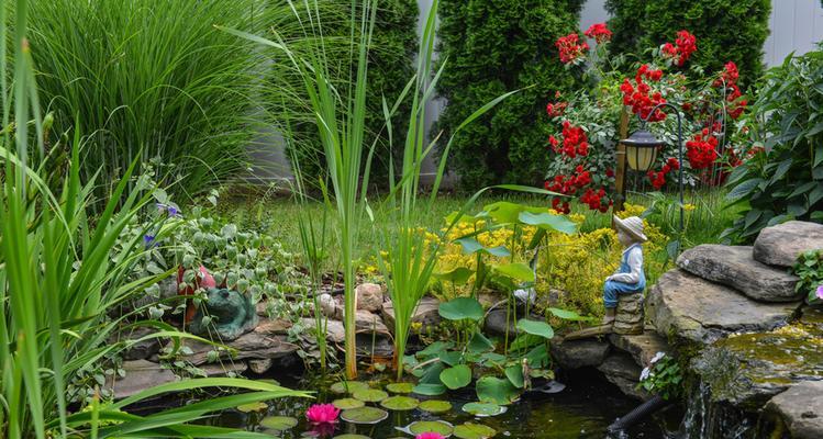 如何养护睡莲——打造美丽池塘（注意事项与方法详解，让你轻松拥有水上花园）