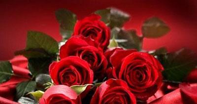 六朵玫瑰的象征意义（赏玫瑰不仅仅是欣赏美丽，更是对情感的诠释）