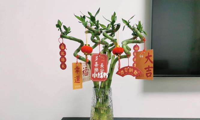 转运竹花的全程养殖攻略（打造美丽的私人园林，从转运竹花开始）